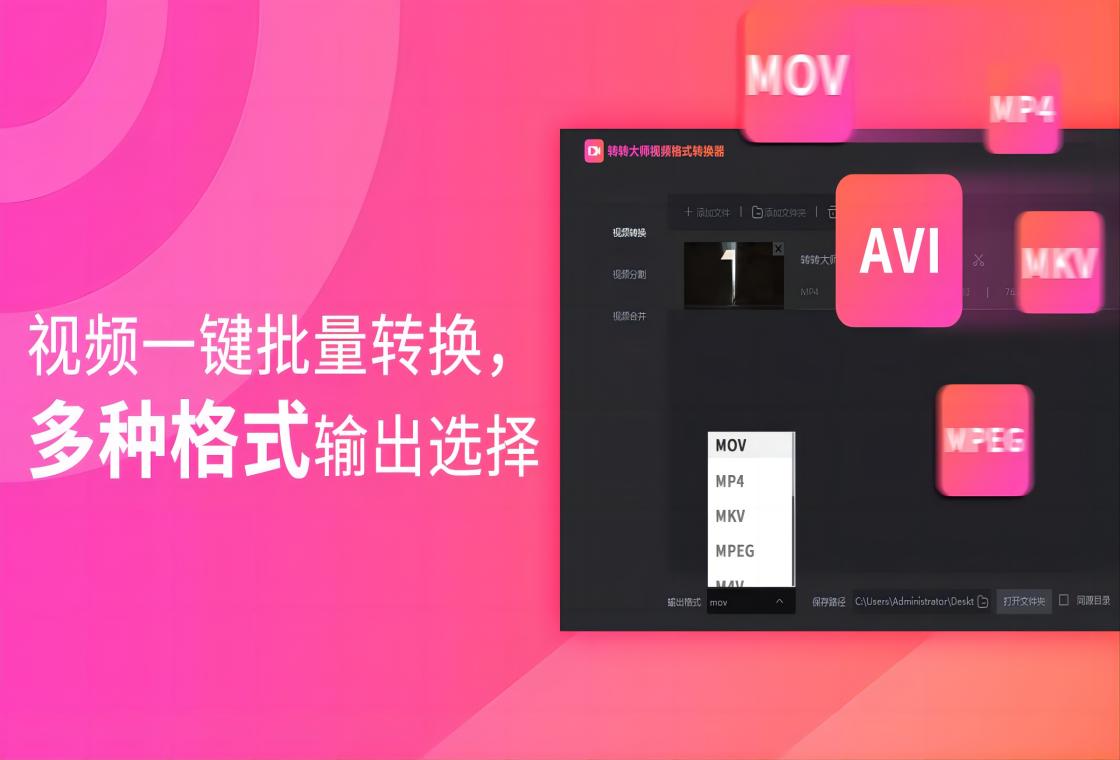 视频格式转换操作界面