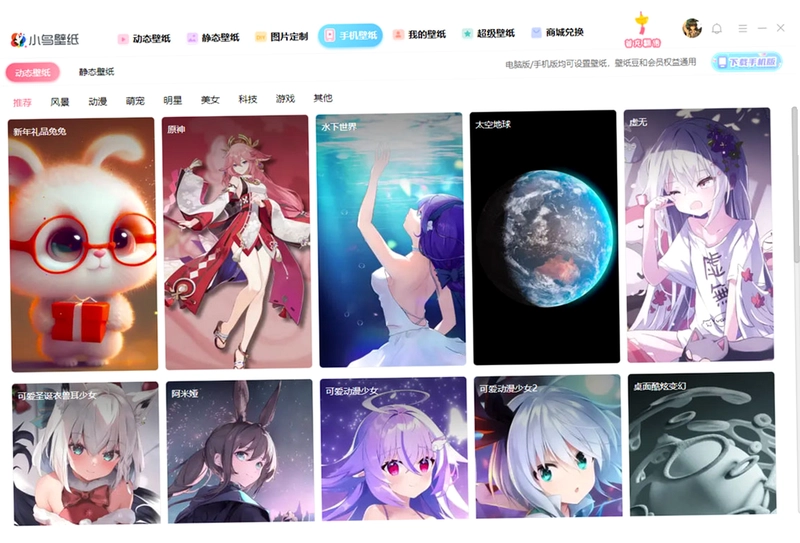 小鸟动态壁纸电脑版预览图