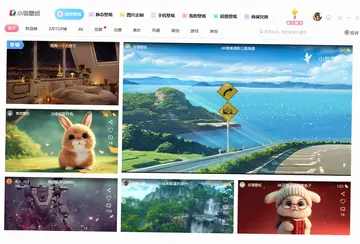小鸟动态壁纸电脑版预览图
