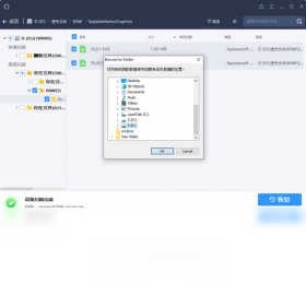 傲软数据恢复预览图