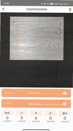 派小橙快递员预览图