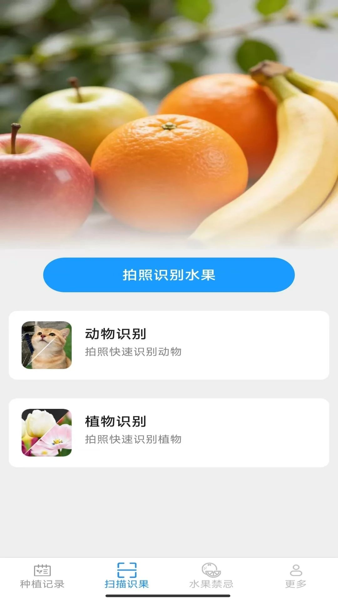 多彩果园水果禁忌