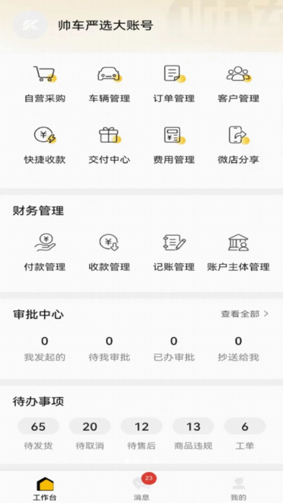 帅车严选助手界面预览