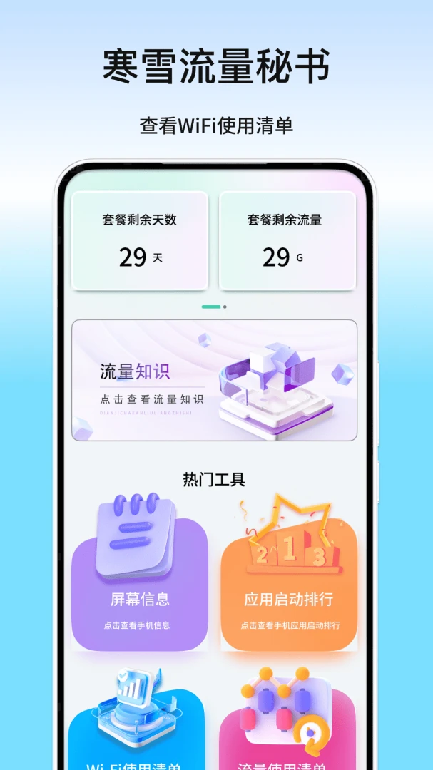 流量详情界面