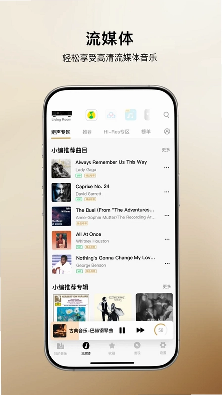 MA Remote预览图
