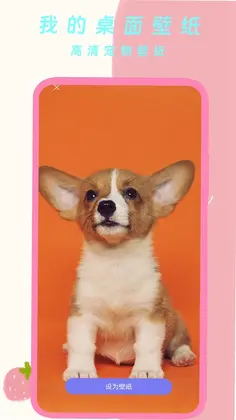 �ҵ������ֽԤ��ͼ