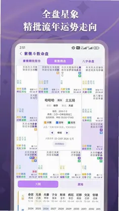 紫微斗数命理预览图