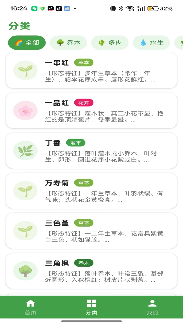 杏运连连植物详情界面