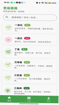 杏运连连预览图