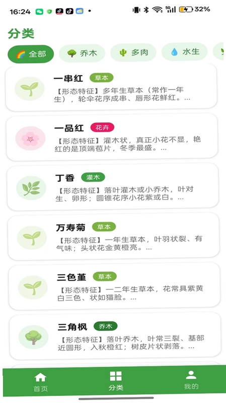 杏运连连预览图