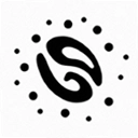 Particle Go