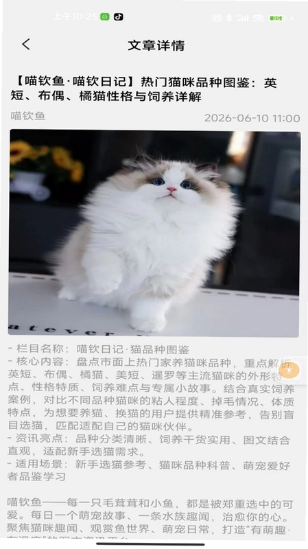 喵钦鱼预览图
