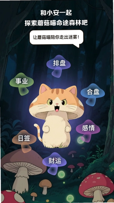 安心舍官方版预览图