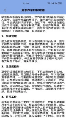 福气小羊村正版预览图