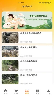 福气小羊村正版预览图