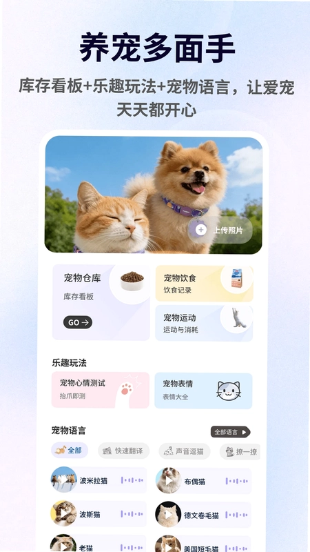 暖暖猫猫官方版预览图
