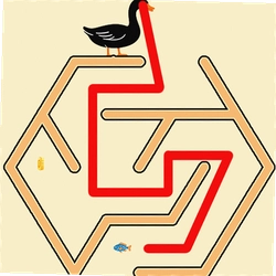 大鹅闯关日记