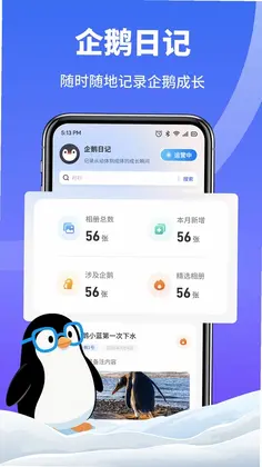 企鹅多多日记预览图