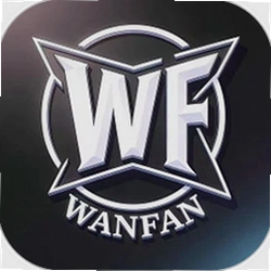 WF电竞助手