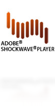Adobe Shockwave Player故障排查