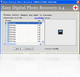 Digital Photo Recovery���°�Ԥ��ͼ
