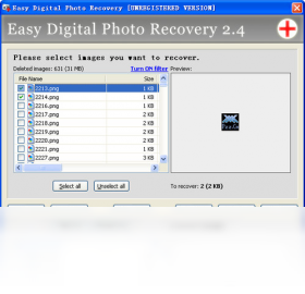 Digital Photo Recovery����