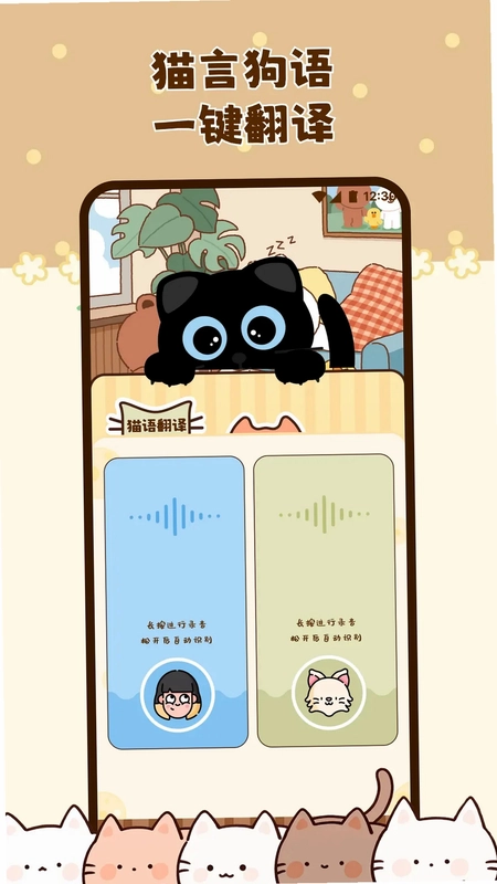 开心猫舍预览图