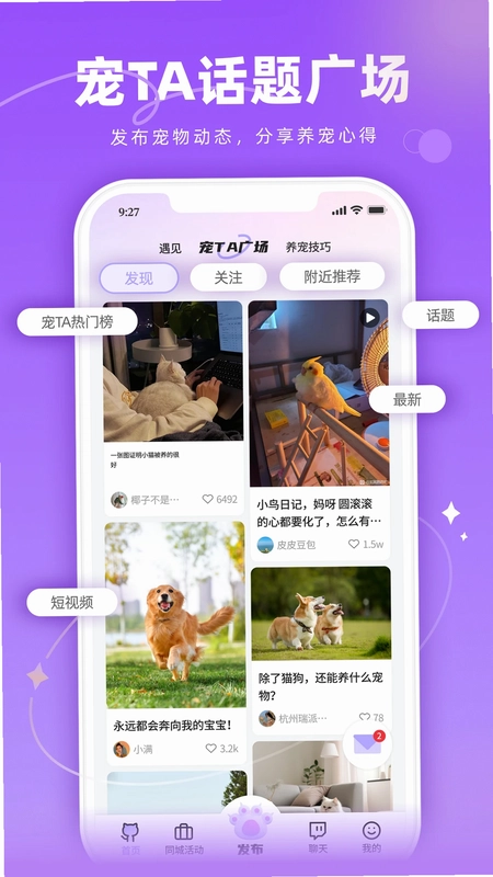 宠TA一生预览图