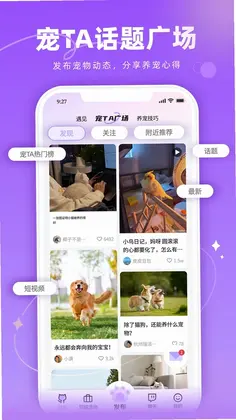宠TA一生预览图
