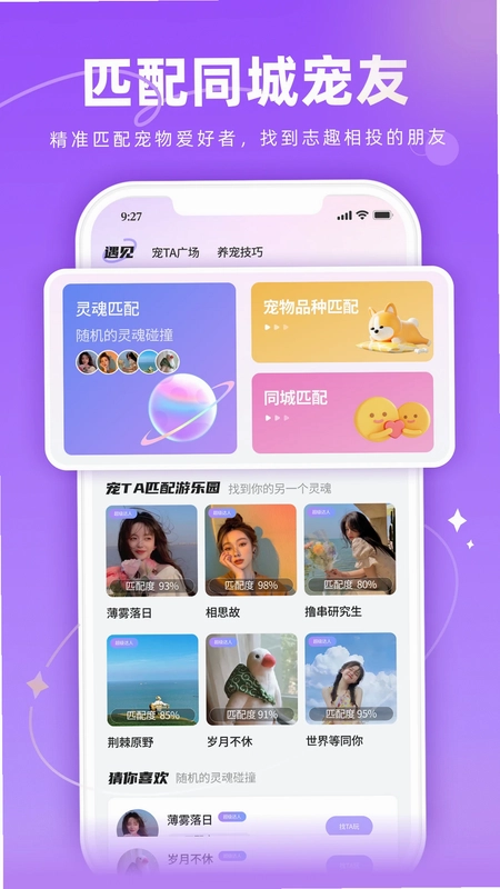 宠TA一生预览图
