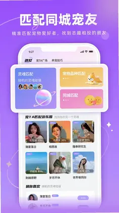 宠TA一生预览图