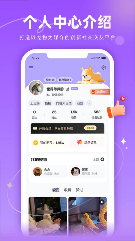 宠TA一生预览图