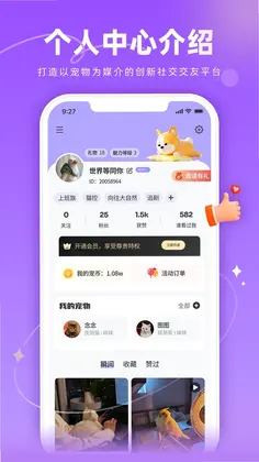 宠TA一生预览图