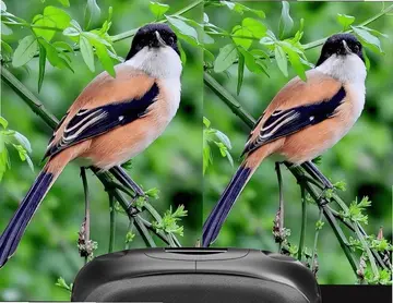 VR播放器预览图