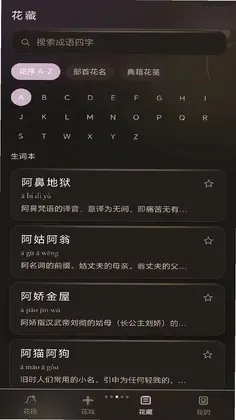 丁香成语预览图