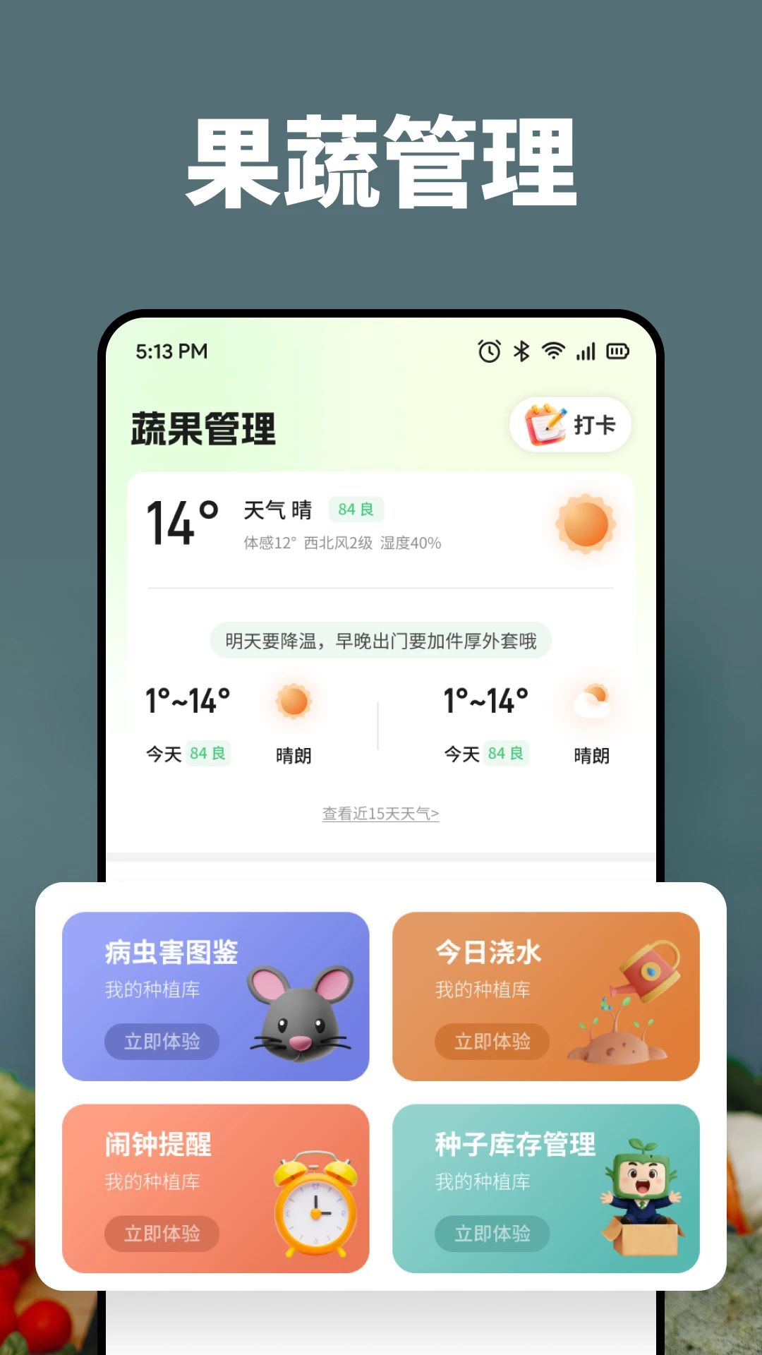 黄果预览图