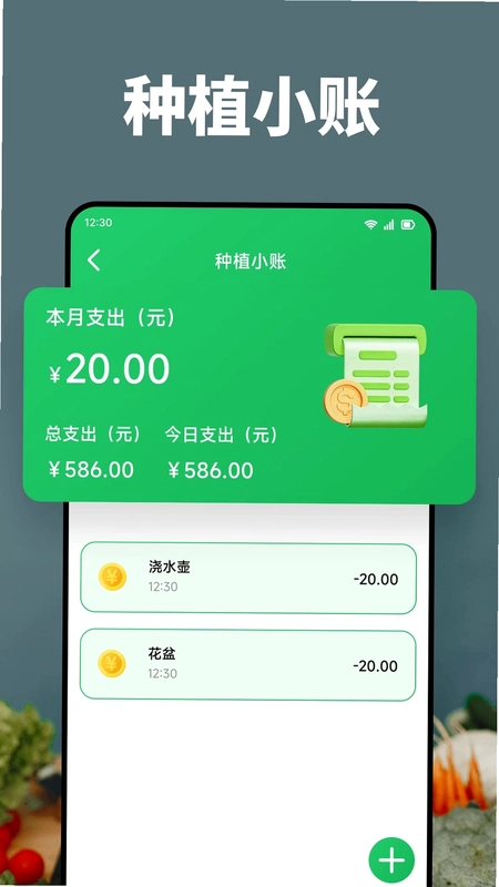 黄果预览图