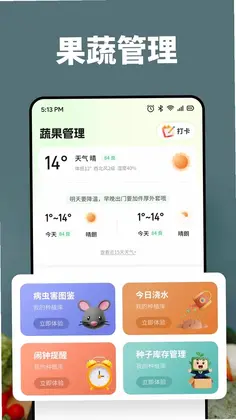 黄果预览图