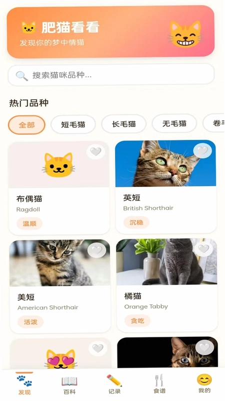 拾光猫预览图