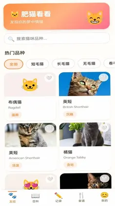 拾光猫预览图