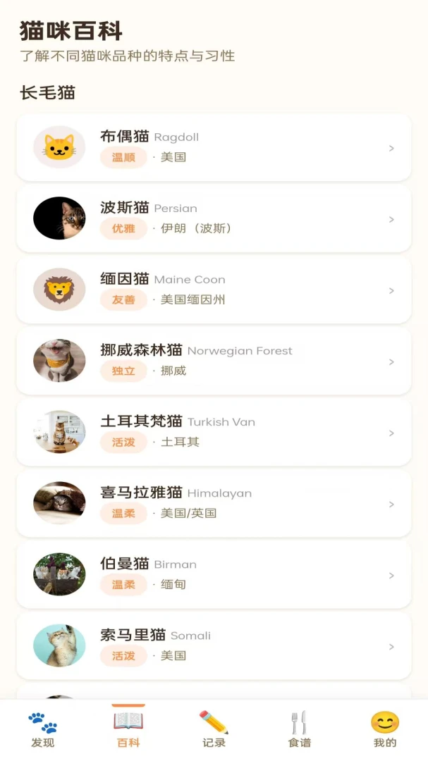 拾光猫互动界面