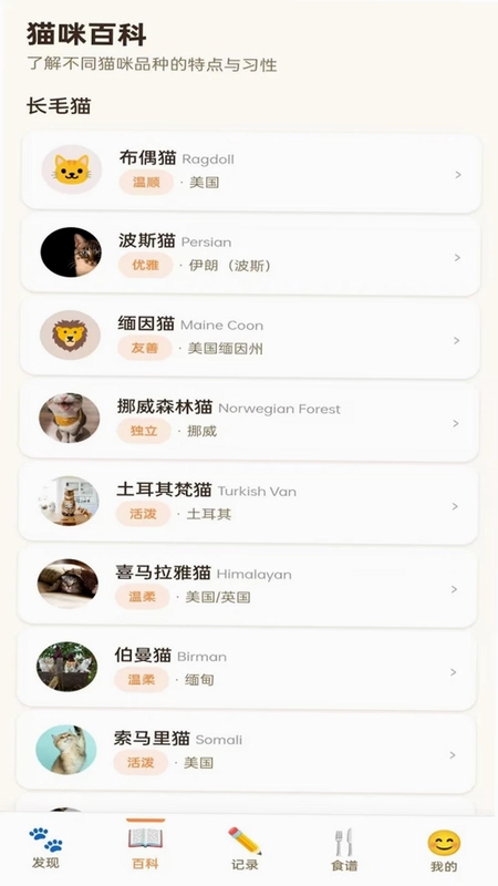 拾光猫预览图
