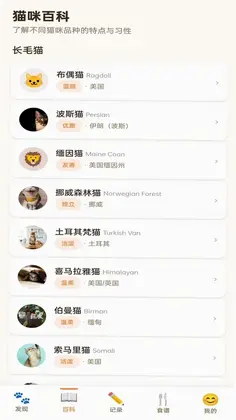 拾光猫预览图