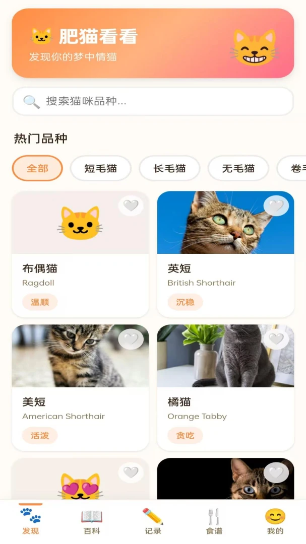 拾光猫装扮系统