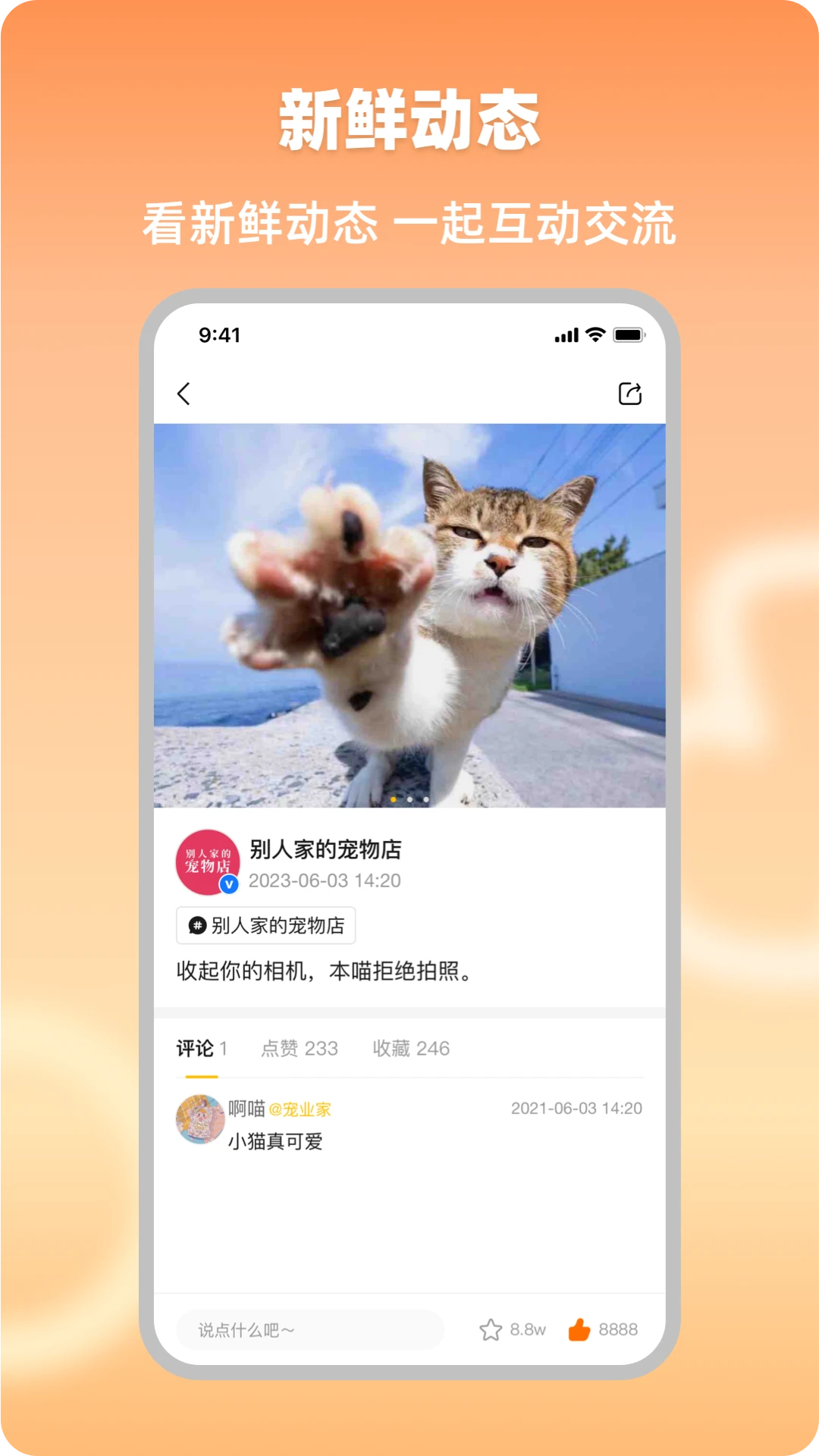宠业家功能界面