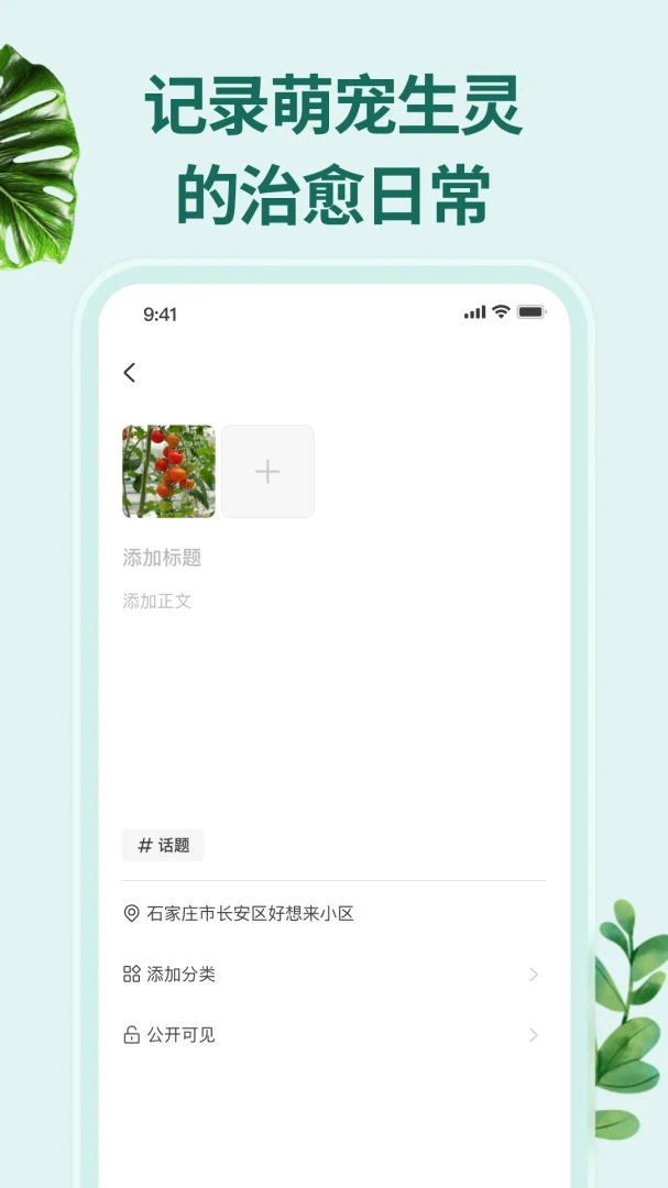 花鸟鱼虫预览图