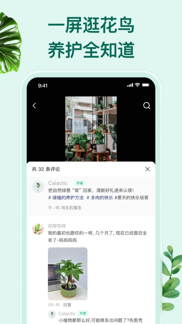 花鸟鱼虫养护提醒