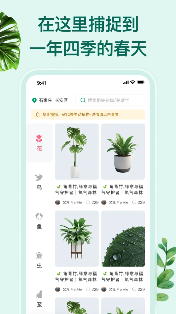 花鸟鱼虫市集交易