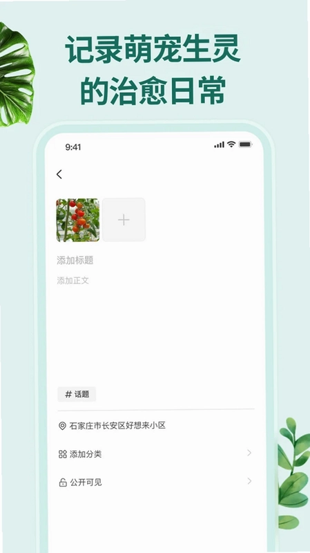 花鸟鱼虫预览图