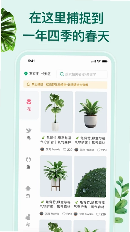 花鸟鱼虫预览图